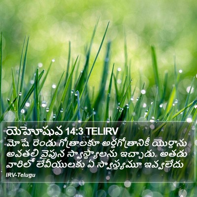 యెహోషువ 14:3 TELIRV Bible Verse Image