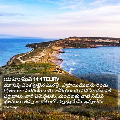 యెహోషువ 14:4 TELIRV Bible Verse Image