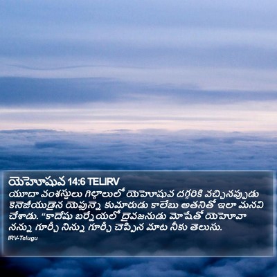 యెహోషువ 14:6 TELIRV Bible Verse Image