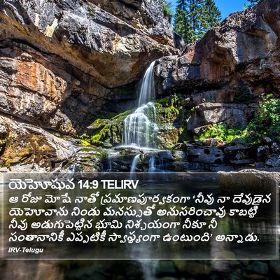 యెహోషువ 14:9 TELIRV Bible Verse Image