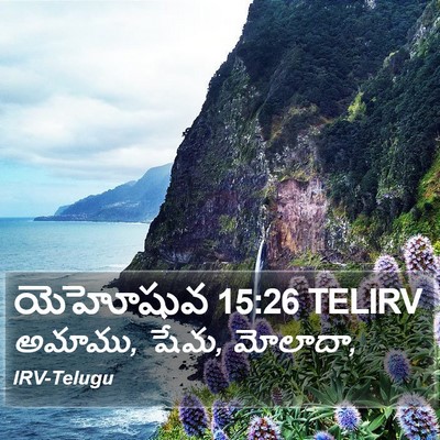 యెహోషువ 15:26 TELIRV Bible Verse Image