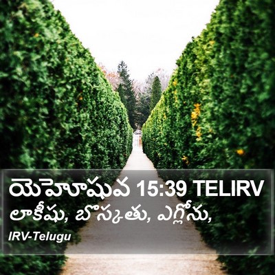యెహోషువ 15:39 TELIRV Bible Verse Image
