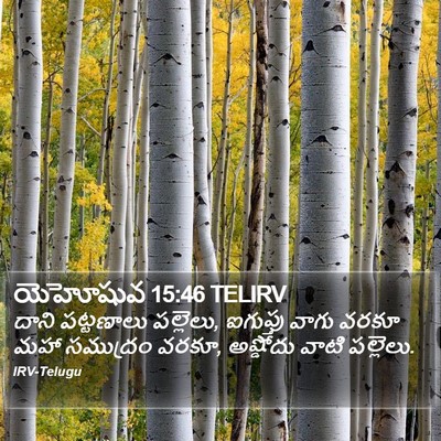 యెహోషువ 15:46 TELIRV Bible Verse Image