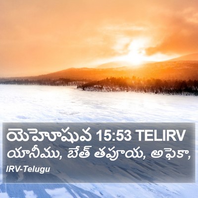 యెహోషువ 15:53 TELIRV Bible Verse Image