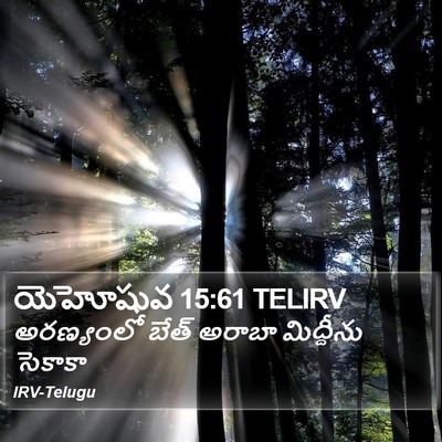 యెహోషువ 15:61 TELIRV Bible Verse Image