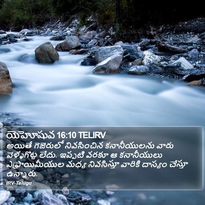 యెహోషువ 16:10 TELIRV Bible Verse Image