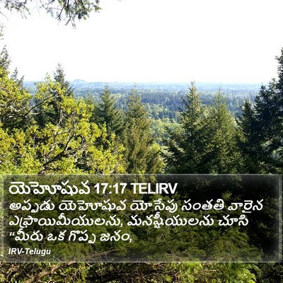 యెహోషువ 17:17 TELIRV Bible Verse Image