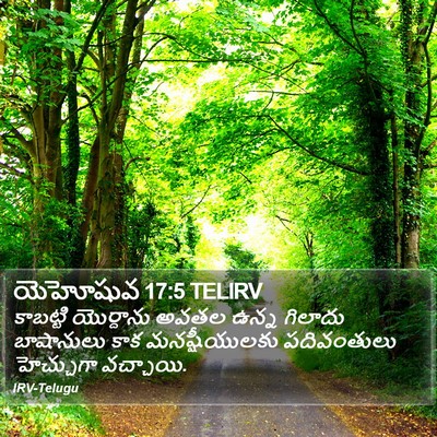 యెహోషువ 17:5 TELIRV Bible Verse Image