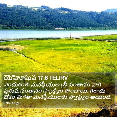 యెహోషువ 17:6 TELIRV Bible Verse Image