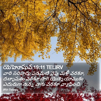 యెహోషువ 19:11 TELIRV Bible Verse Image