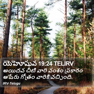 యెహోషువ 19:24 TELIRV Bible Verse Image