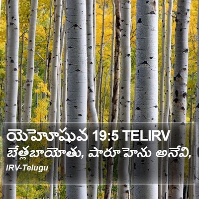 యెహోషువ 19:5 TELIRV Bible Verse Image
