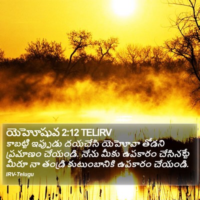 యెహోషువ 2:12 TELIRV Bible Verse Image