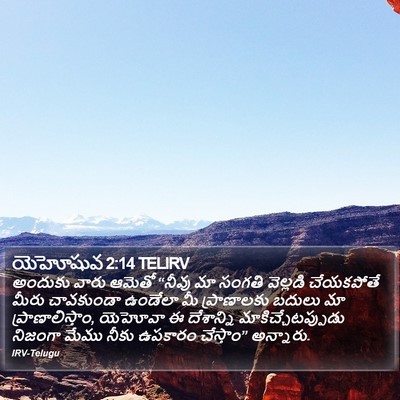 యెహోషువ 2:14 TELIRV Bible Verse Image