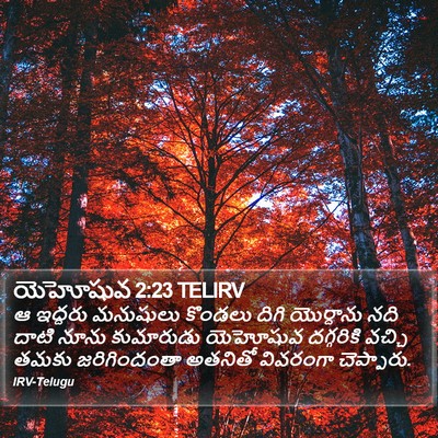 యెహోషువ 2:23 TELIRV Bible Verse Image