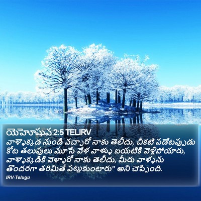 యెహోషువ 2:5 TELIRV Bible Verse Image