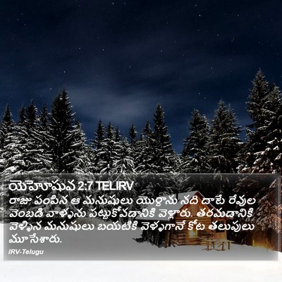 యెహోషువ 2:7 TELIRV Bible Verse Image