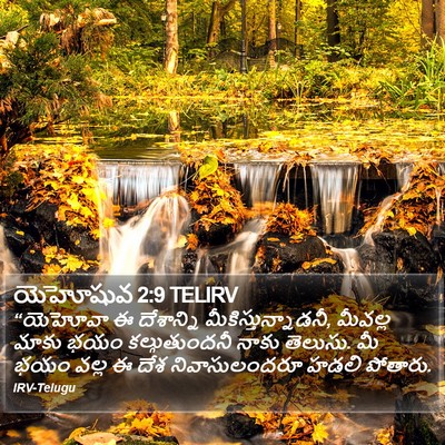 యెహోషువ 2:9 TELIRV Bible Verse Image