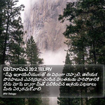 యెహోషువ 20:2 TELIRV Bible Verse Image