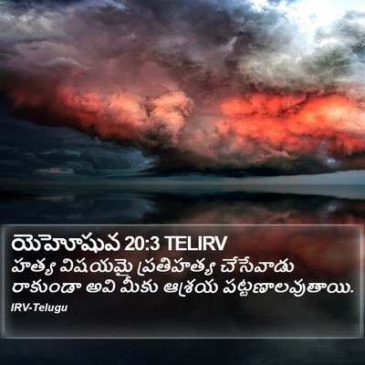 యెహోషువ 20:3 TELIRV Bible Verse Image