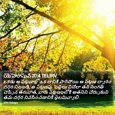 యెహోషువ 20:4 TELIRV Bible Verse Image