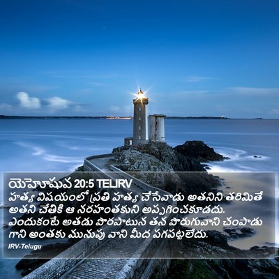 యెహోషువ 20:5 TELIRV Bible Verse Image