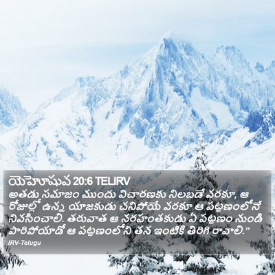 యెహోషువ 20:6 TELIRV Bible Verse Image