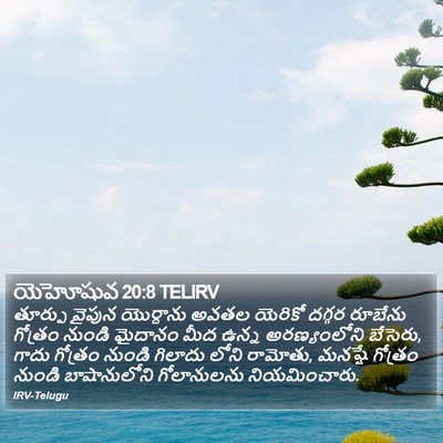 యెహోషువ 20:8 TELIRV Bible Verse Image
