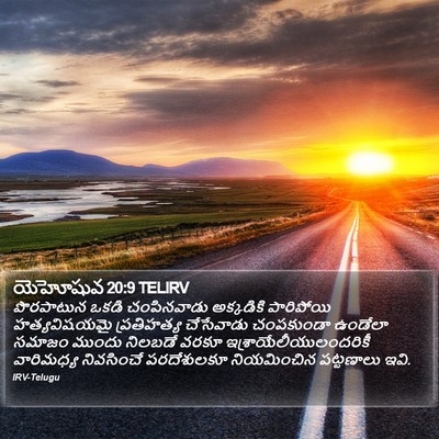 యెహోషువ 20:9 TELIRV Bible Verse Image