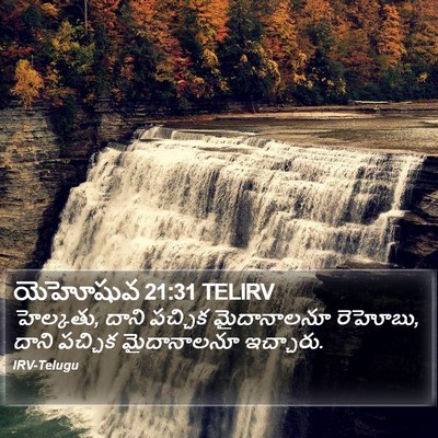 యెహోషువ 21:31 TELIRV Bible Verse Image