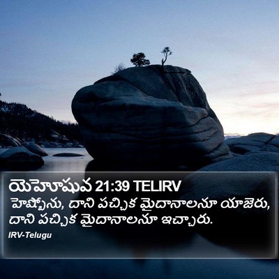 యెహోషువ 21:39 TELIRV Bible Verse Image
