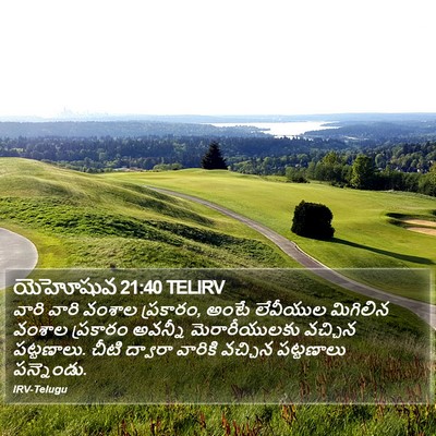 యెహోషువ 21:40 TELIRV Bible Verse Image