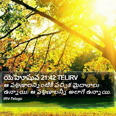 యెహోషువ 21:42 TELIRV Bible Verse Image