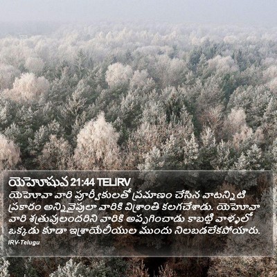 యెహోషువ 21:44 TELIRV Bible Verse Image