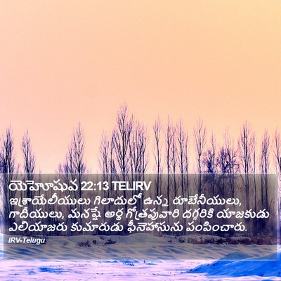 యెహోషువ 22:13 TELIRV Bible Verse Image