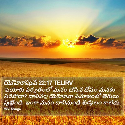 యెహోషువ 22:17 TELIRV Bible Verse Image