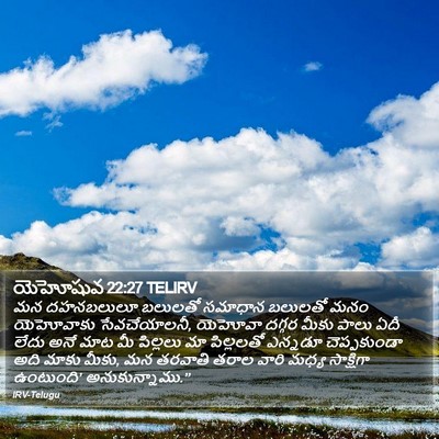యెహోషువ 22:27 TELIRV Bible Verse Image