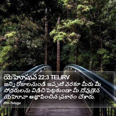 యెహోషువ 22:3 TELIRV Bible Verse Image