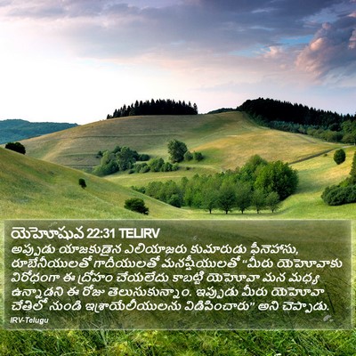 యెహోషువ 22:31 TELIRV Bible Verse Image