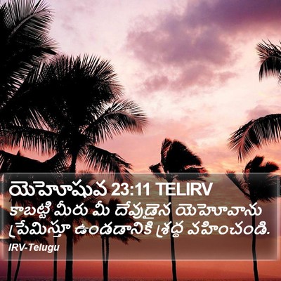 యెహోషువ 23:11 TELIRV Bible Verse Image