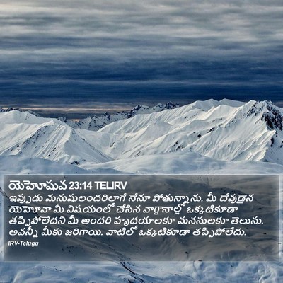 యెహోషువ 23:14 TELIRV Bible Verse Image