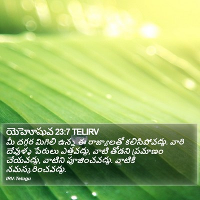 యెహోషువ 23:7 TELIRV Bible Verse Image