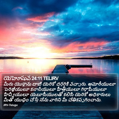 యెహోషువ 24:11 TELIRV Bible Verse Image