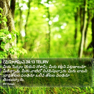 యెహోషువ 24:13 TELIRV Bible Verse Image
