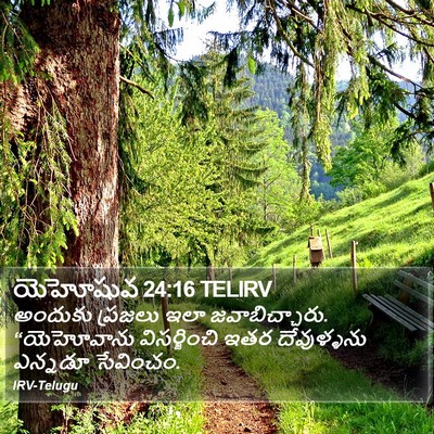 యెహోషువ 24:16 TELIRV Bible Verse Image