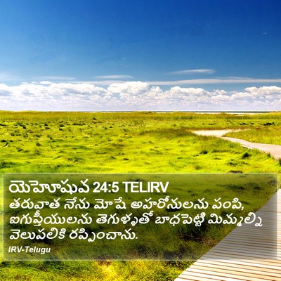 యెహోషువ 24:5 TELIRV Bible Verse Image
