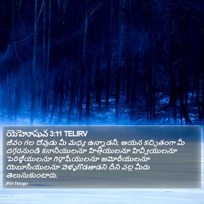 యెహోషువ 3:11 TELIRV Bible Verse Image