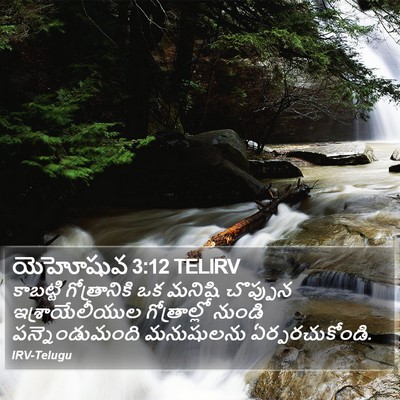 యెహోషువ 3:12 TELIRV Bible Verse Image