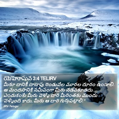 యెహోషువ 3:4 TELIRV Bible Verse Image