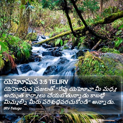 యెహోషువ 3:5 TELIRV Bible Verse Image